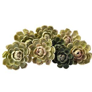 Artificial Succulent Picks Lot Green Faux Succulent Flowers Floral Craft Decor